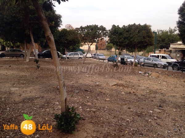 cars ajyalj3 (5).JPG